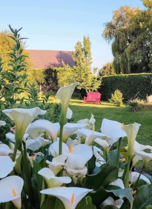 Le Jardin Des Lacs Gite Nature Et Spa Ardres 外观 照片