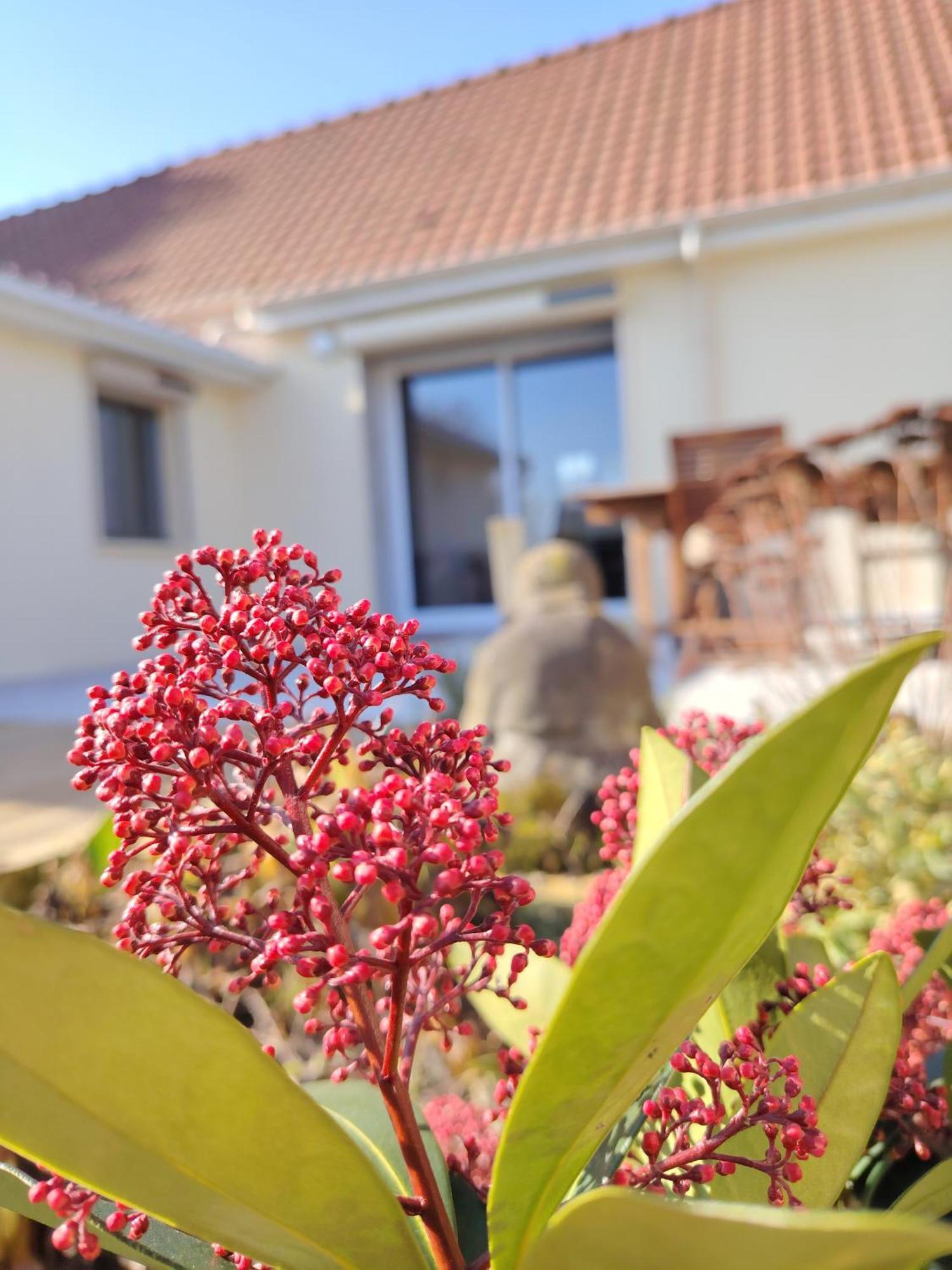 Le Jardin Des Lacs Gite Nature Et Spa Ardres 外观 照片